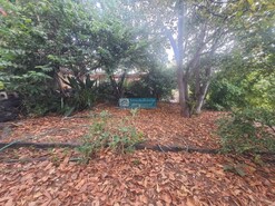 Show profile: Sell: Rustic Land