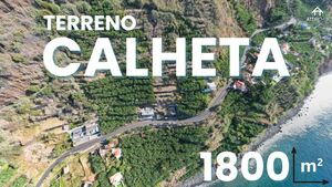 Ver detalhes: Venda: Terreno Rstico